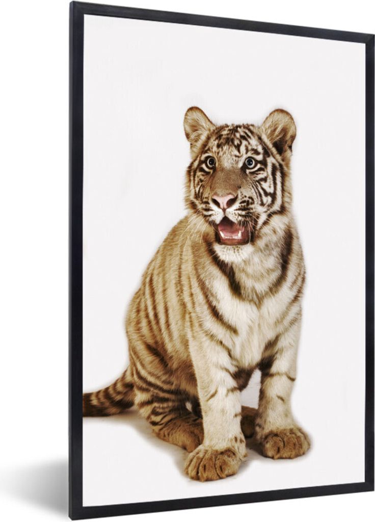 MuchoWow Gerahmtes Poster Jungtier - Tier - Tiger 40x60 cm - Poster mit Schwarzem Bilderrahmen Wandposter Rahmen Foto Bilder - Papierdruck - Wand...