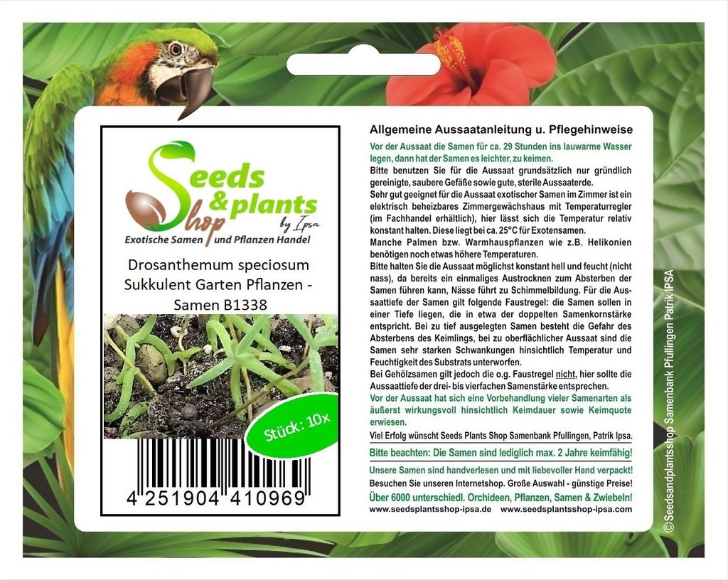 10x Drosanthemum speciosum Sukkulent Garten Pflanzen - Produktbild 