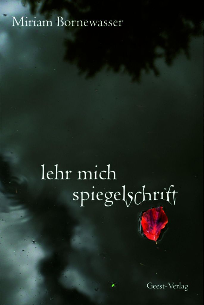 lehr mich spiegelschrift