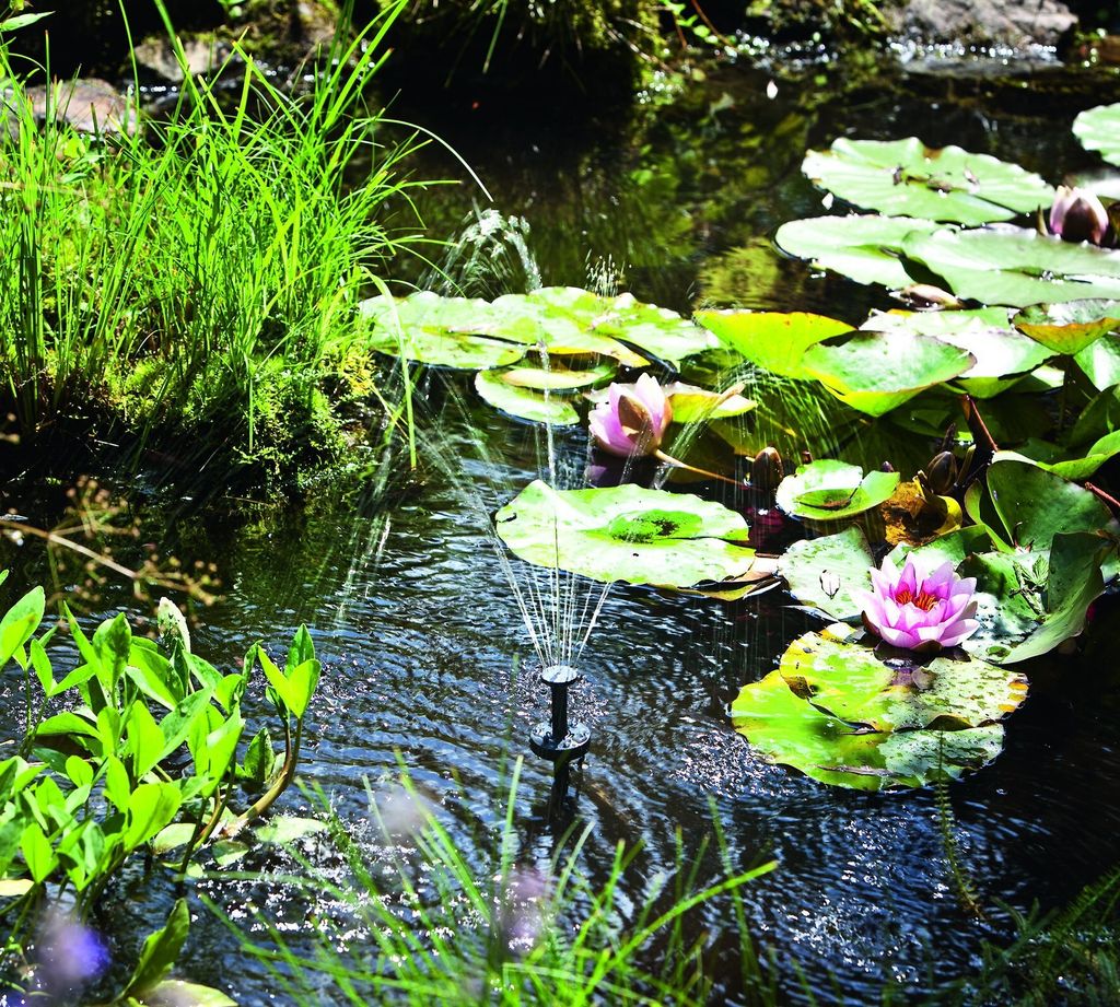 A close-up view of a solar-powered pond pump with a fountain spraying water, surrounded by lily pads and aquatic plants.