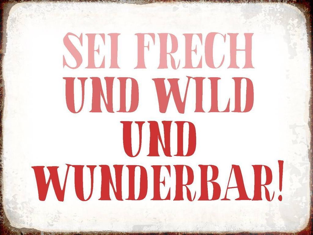 vianmo Holzschild 30x40 cm sei frech und wild und wunderbar