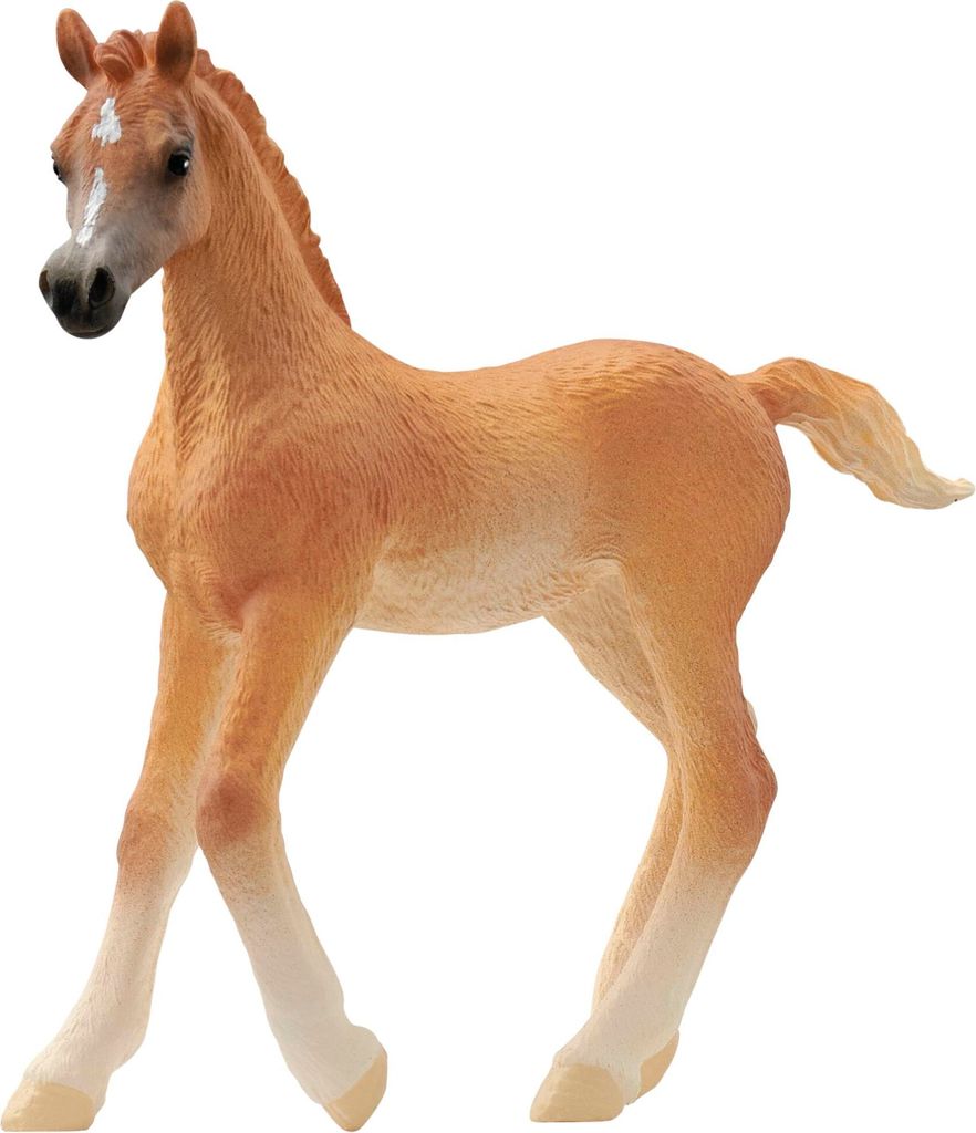 Schleich schleich HORSE CLUB 13984 Araber Fohlen