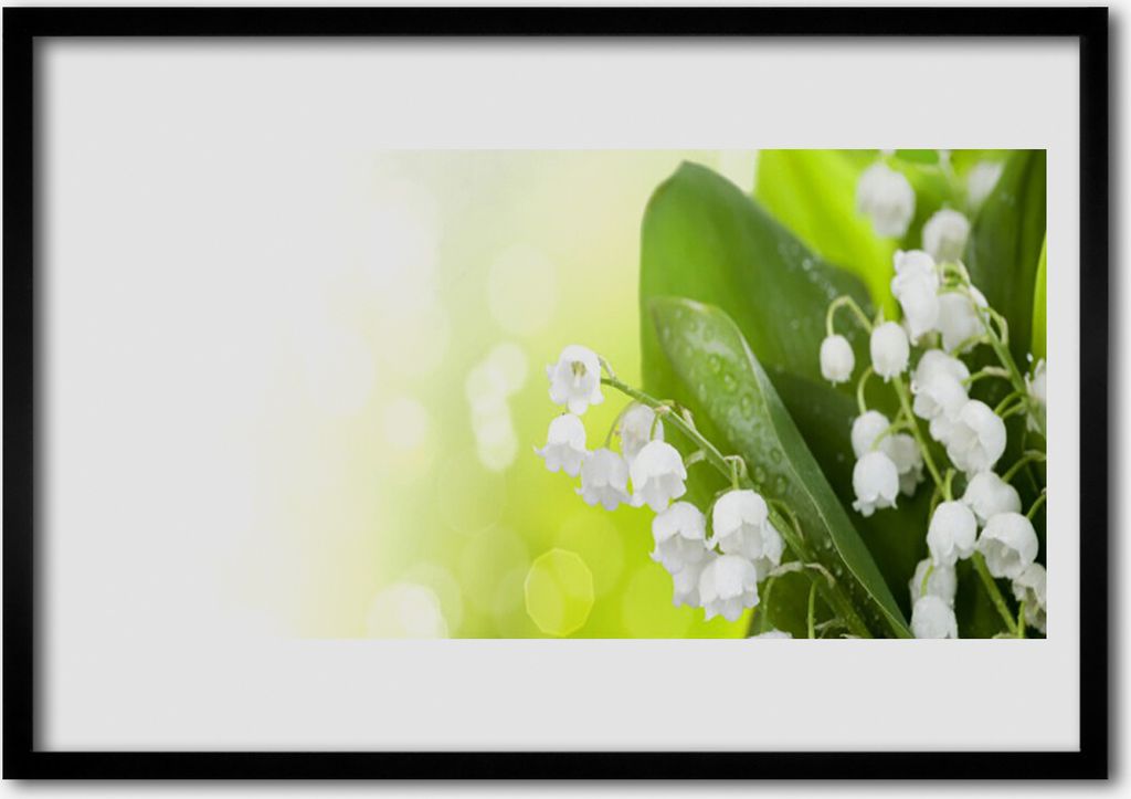 Bild 100x70 MDF-Rahmen Wandkunst Blätter Blumen Maiglöckchen Wiese