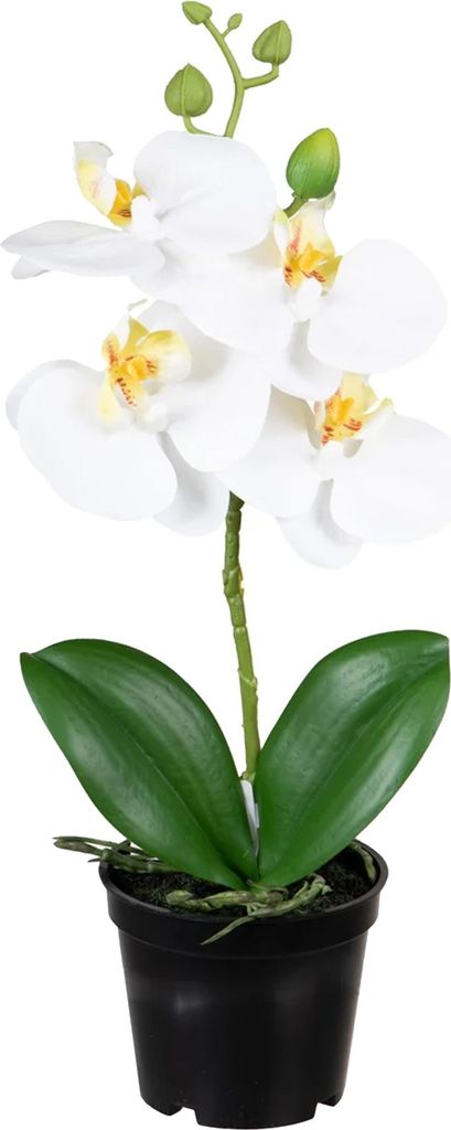 Louis Maes Kunstliche Pflanze Orchidee - Blumen in weis - 33 cm