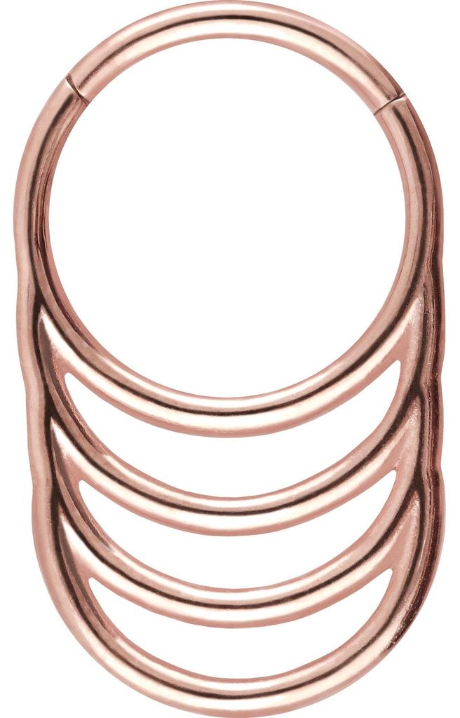 Ohrpiercing, Nasenpiercing, Septum Piercing Chirurgenstahl Segmentring Clicker 4 RINGE RoséGold Innendurchmesser: 10 mm