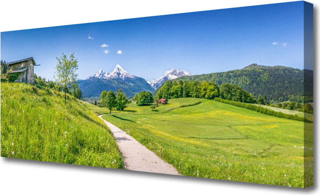 Tulup Leinwand-Bilder 125x50 Wandbild Canvas Kunstdruck Wiese Fußpfad Natur