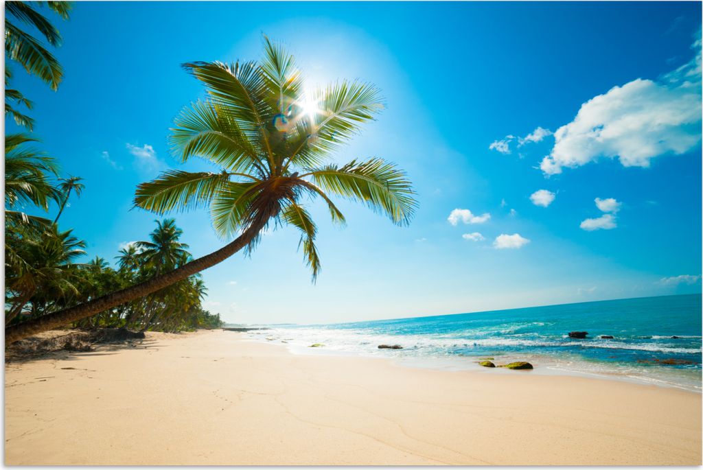 MuchoWow Poster Strand - Meer - Sonne - Palme 180x120 cm - Fotoplakat