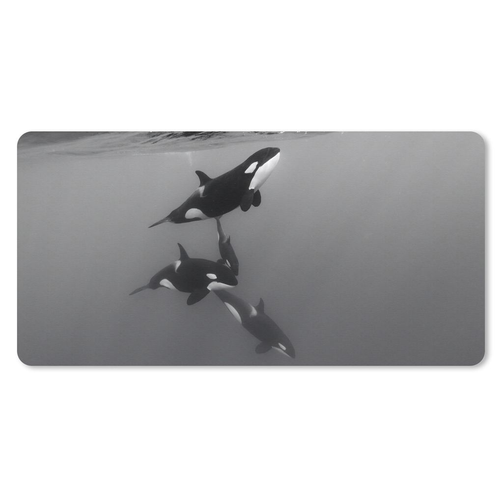 MuchoWow Mauspad Mousepad Orca - Wasser - Schwarz - Weiß 60x30 cm - Mousepads - Maus Mat - Pad - Mausunterlage - Nachhaltig