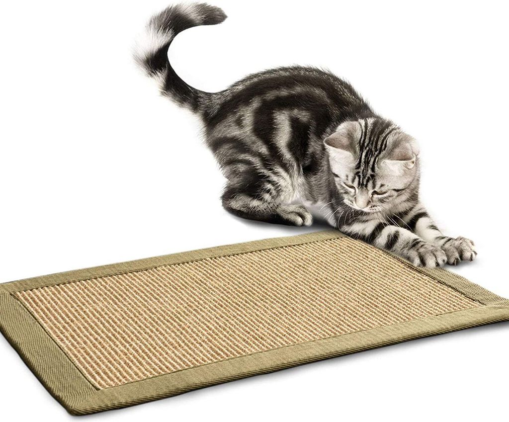 Sisalový koberec Amazon Nature Border: Taupe / Pistachio 40 Obrázek produktu 
