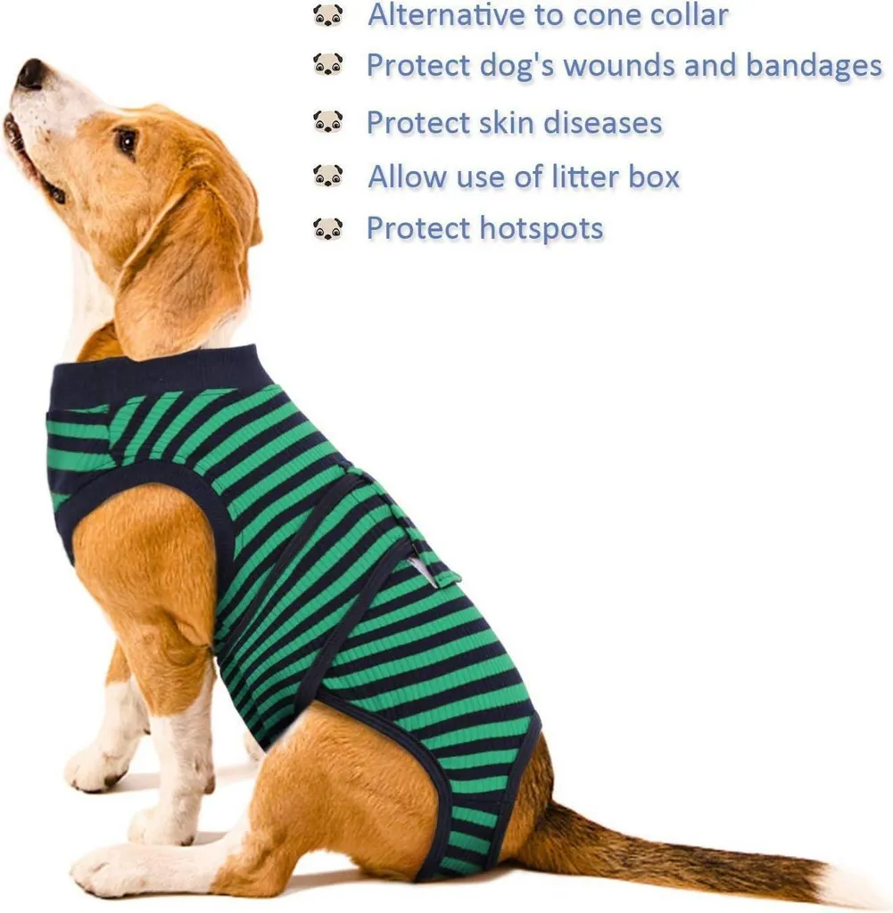 Combinaison de récupération pour chien XXL vert post-stérilisation