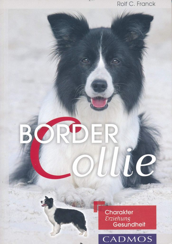 Border Collie