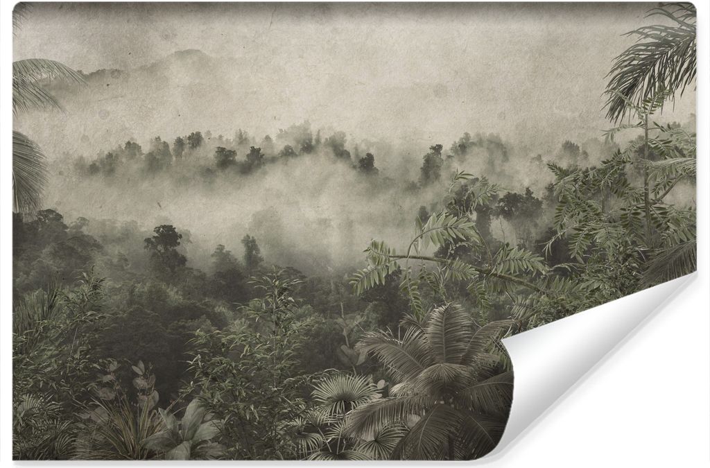 Muralo Selbstklebende Fototapete tropische WALD IM NEBEL Pflanzen Beton Br. 416cm x Hö. 290cm
