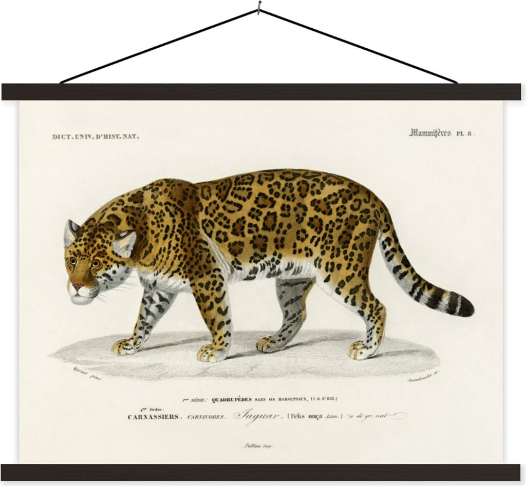 MuchoWow Textilposter Jaguar - Jahrgang - Tier 60x45 cm mit schwarzem Rahmen - Poster Schlafzimmer