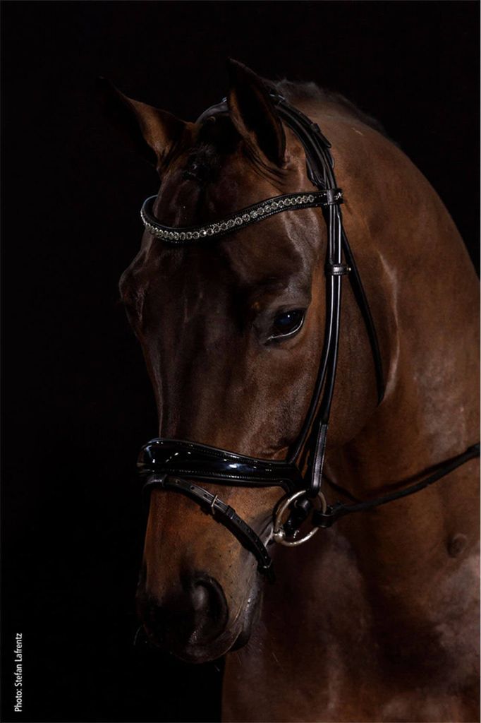 Schockemöhle Sportovní uzdečka Snaffle Westminster Obrázek produktu 2