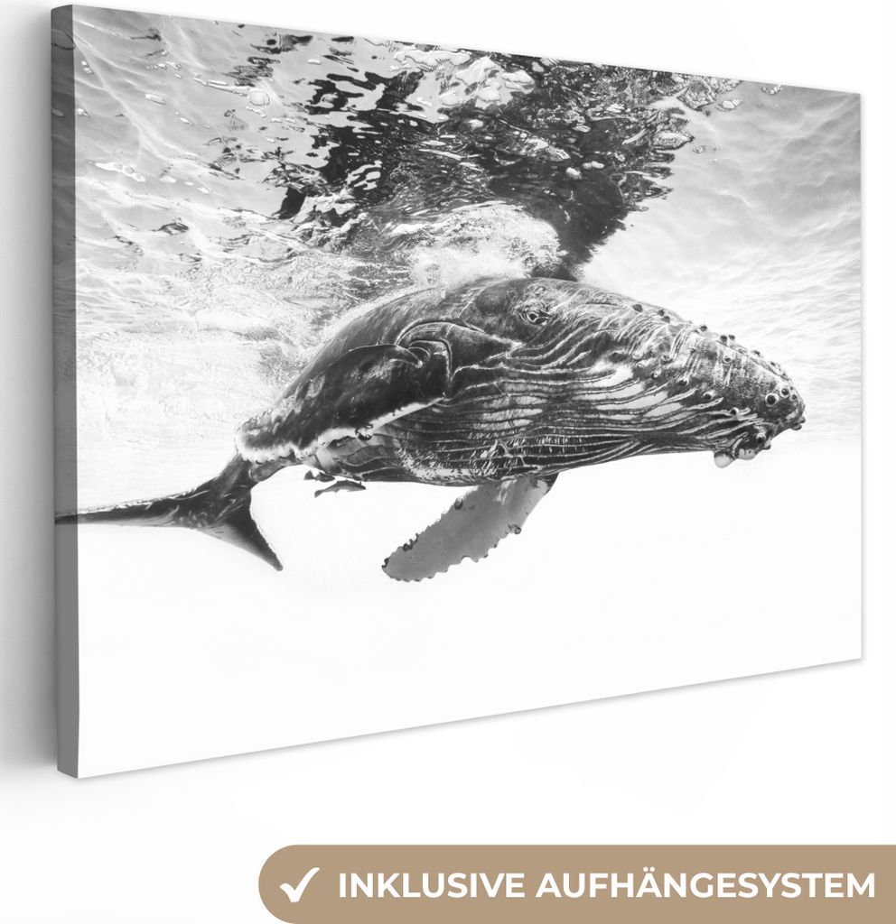 OneMillionCanvasses - Leinwandbilder - 140x90 cm, Wal - Wasser - Tiere - Schwarz und weiß, Wandbilder Kunstdruck Wanddekoration - Foto auf Leinw...