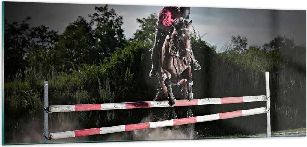 Bilder auf glas - Pferd Sport Hindernisse Himmel - 100x40cm - Glasbilder - Wandbilder - Kunstdruck - zum Aufhängen bereit - Wanddekoration aus Gla...