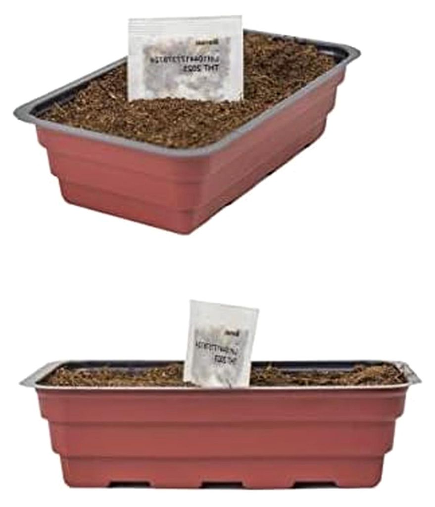 Bonsai Samen Set - Anzuchtset für echte Bonsai Pflanzen inklusive Erde, Samen und Anzuchtschale - einfaches Starterkit mit Anzuchterde (Hortensien...