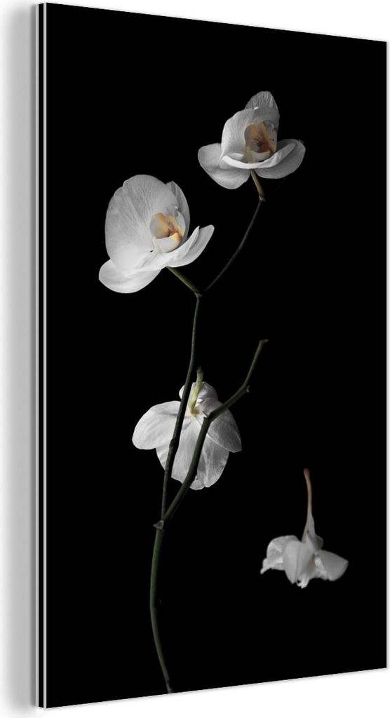 MuchoWow Wanddekoration Metall Metallbild Wandkunst 20x30 cm Orchidee - Blumen - Schwarz - Weiß - Stilleben MuchoWow Aluminium Gemälde - Alu Dibo...