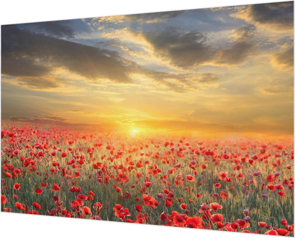 Wandtapete - Dekorative Tapete für Wohnzimmer - Tapetenfolie für Wanddekoration - 152x104 cm - Mohnfeld