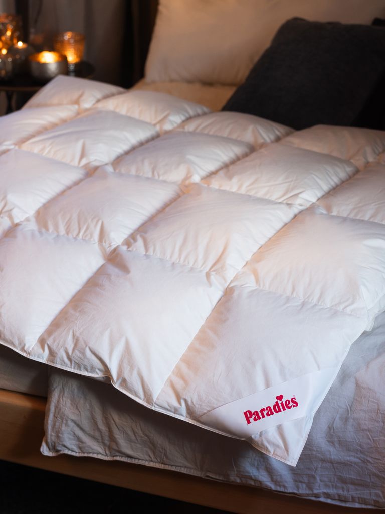Paradies Daunendecke 135x200 cm Ganzjahres Decke "Gabi 90" Produktbild 