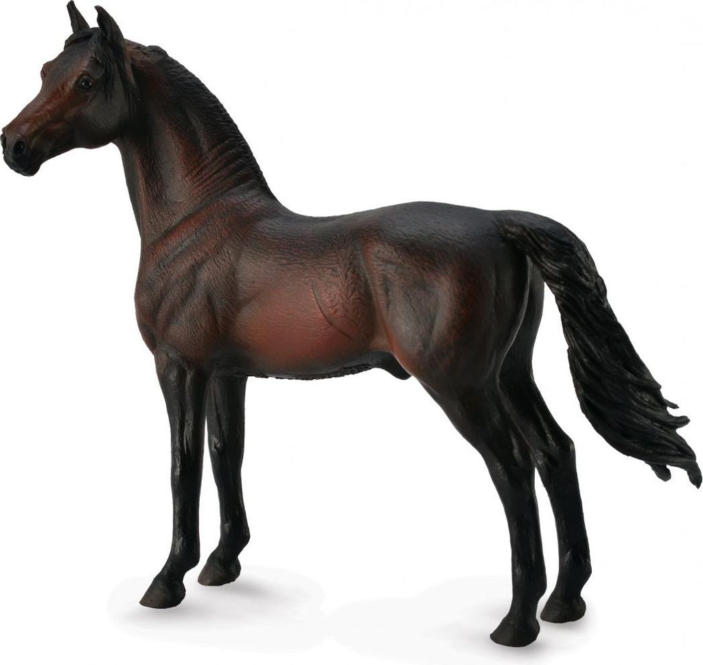 Collecta Figur Eines Dunkelbraunen Morgan-hengstes Schwarz 3-6 Years Schwarz 3-6 Years