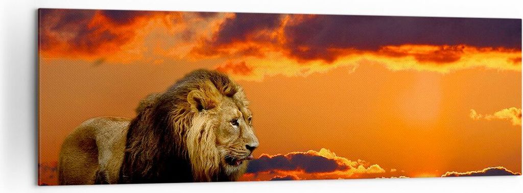 Bild auf Leinwand - Leinwandbild - Löwe Sonne Landschaft - 160x50cm - Wand Bild - Wanddeko - Leinwanddruck - Bilder - Kunstdruck - Wanddekoration ...