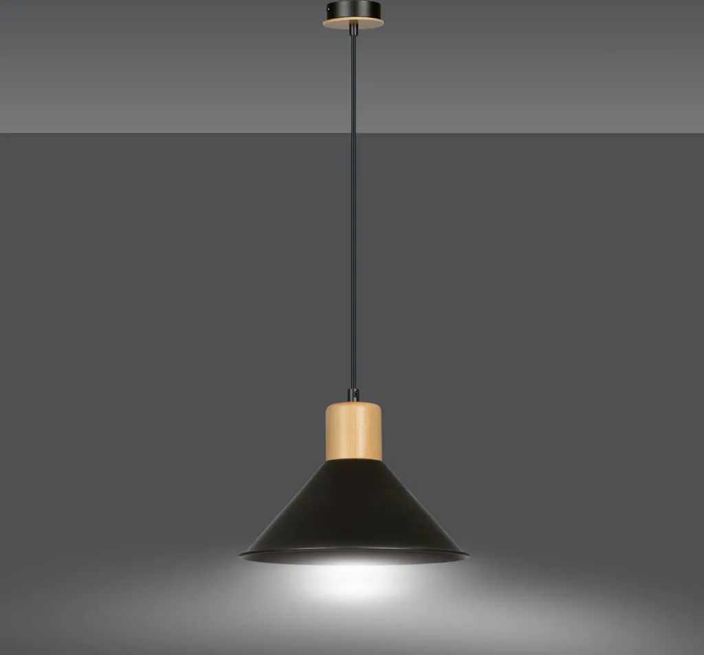 Suspension Noire Rowen 1 E27 Finition Matte Éclairage Design Sans Reflet