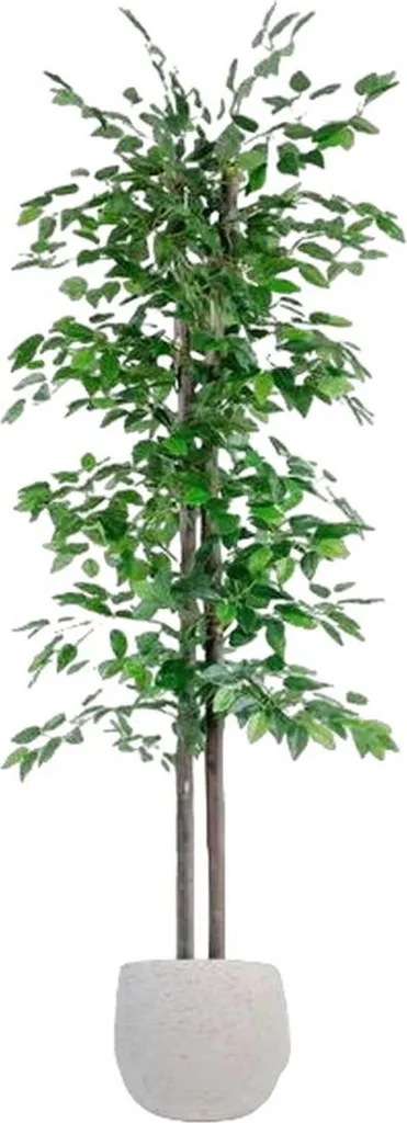 Sapin Artificiel 180 cm en Polyester et Pied Bois - Design Arbre Home