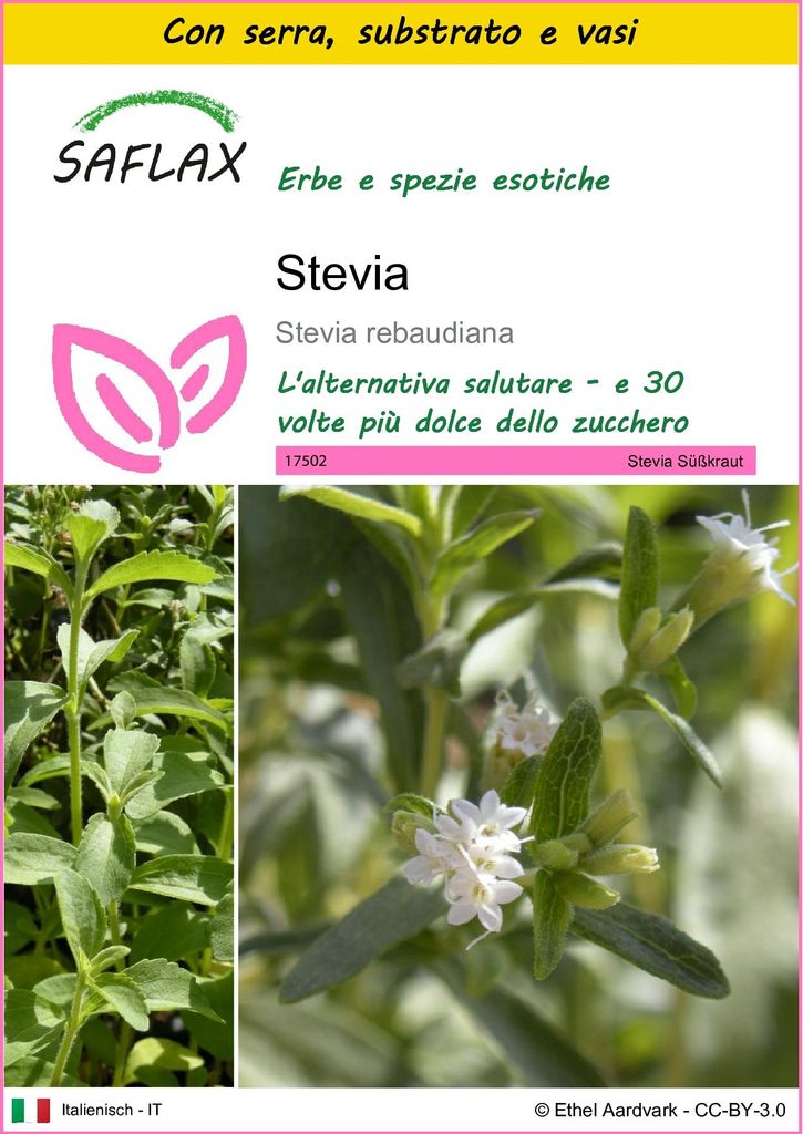SAFLAX Insieme di coltivazione - Stevia - 100 semi - Stevia Immagine del prodotto 