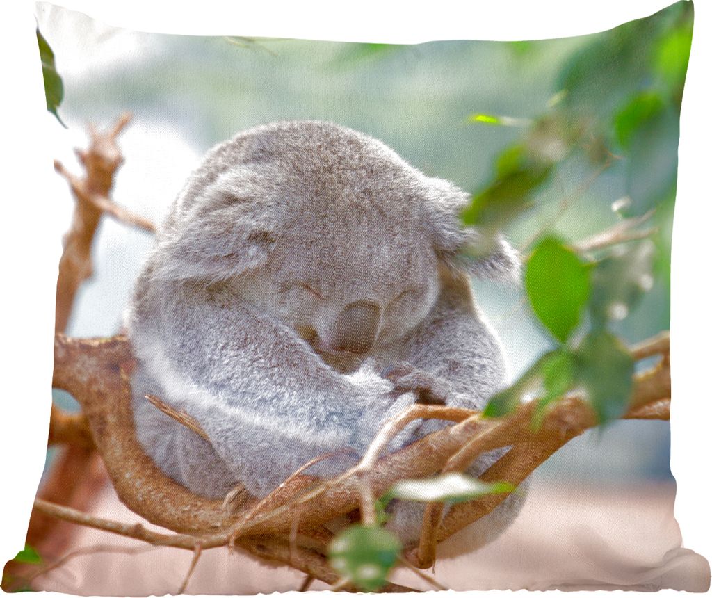MuchoWow Zierkissen Sofakissen Wohnzimmer Dekokissen 50x50 cm Koala - Äste - Schlaf - Kinder - Jungen - Mädchen - Komfort - Sofakissen
