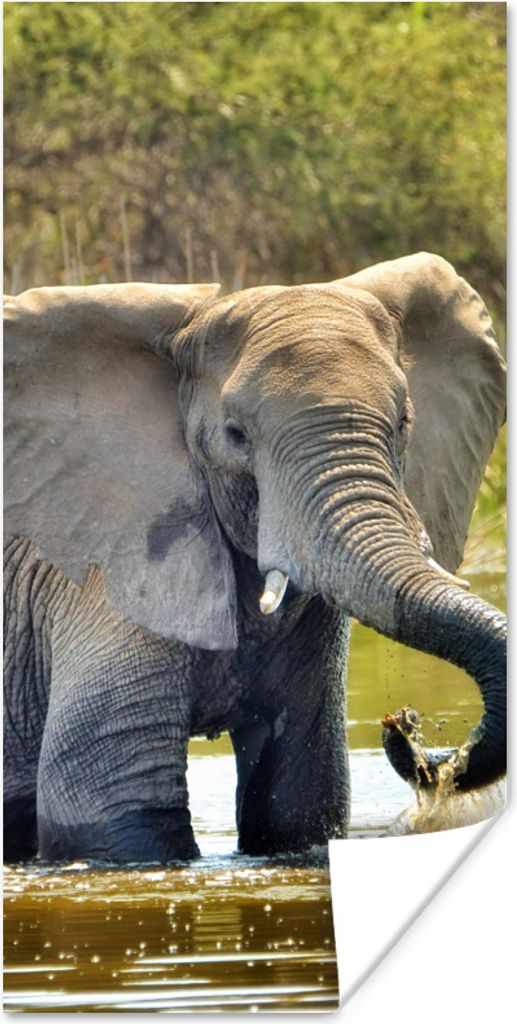 MuchoWow Poster Badender Elefant 40x80 cm - Dekoration