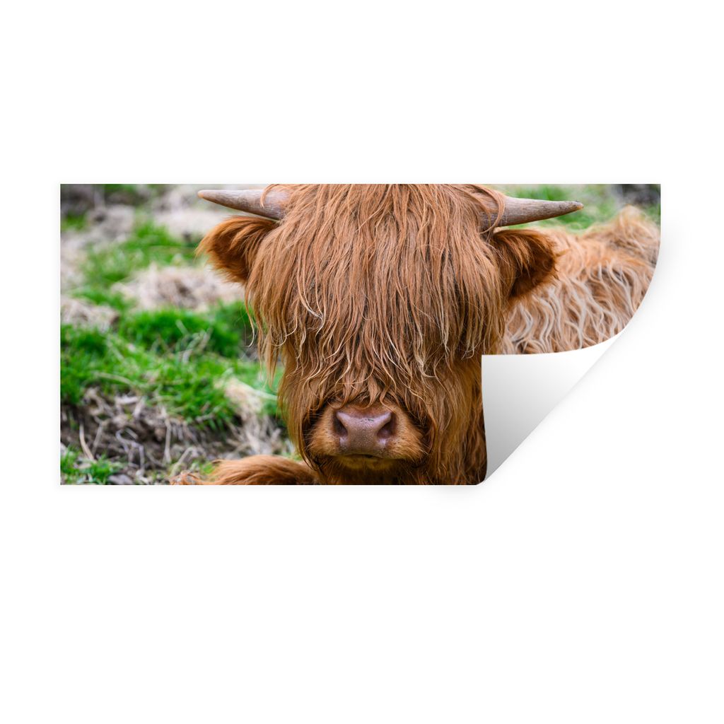 MuchoWow Wandtattoo Wandsticker Wandaufkleber Schottischer Highlander - Heu - Gras 80x40 cm Selbstklebend und Repositionierbar - Aufkleber