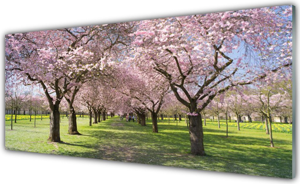 Glasbilder 125x50 Wandbild Druck auf Glas Fußpfad Bäume Natur