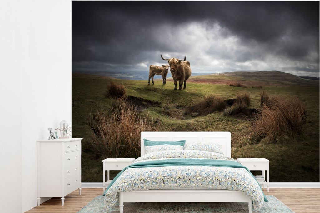 MuchoWow Fototapete für Wohnzimmer oder Schlafzimmer Wandtapete Vinyl Motivtapete Schottische Highlander - Schottische Kuh - Landschaft - 360x26...