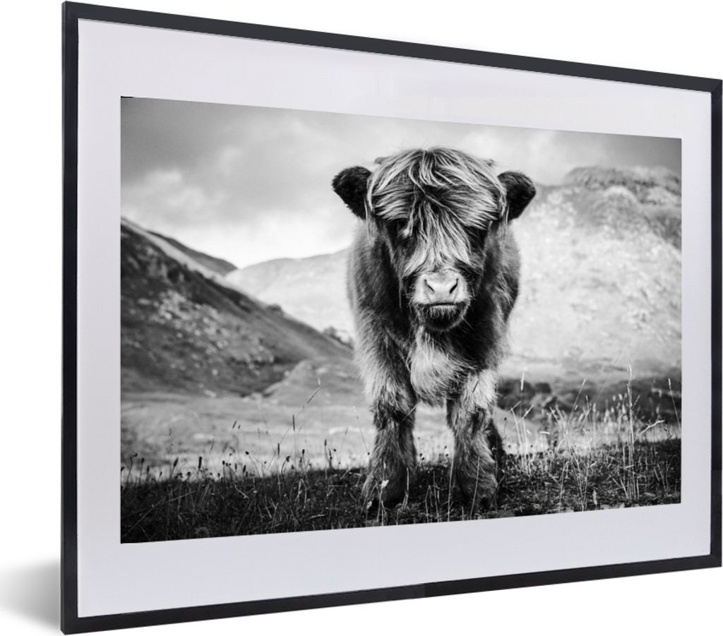 MuchoWow MuchoWow Gerahmtes Poster Schottisches Hochlandrind - Berg - Schwarz - Weiß 60x40 cm - Poster mit zchwarzem Bilderrahmen - Schlafzimm...