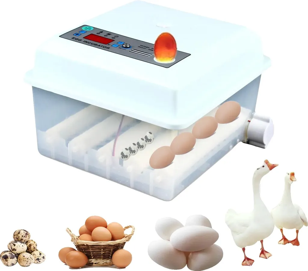 Incubatrice Digitale 16 Uova: Controllo PID e Girauova Automatico