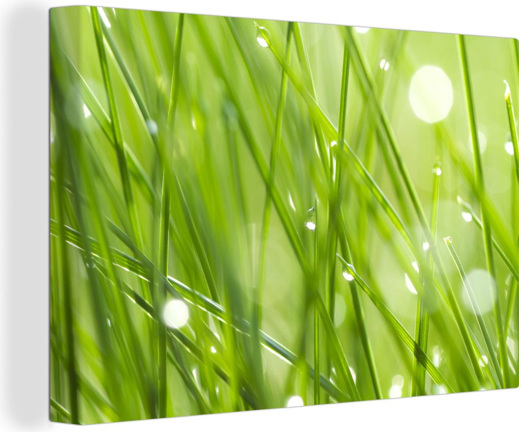 OneMillionCanvasses - Leinwandbilder - 140x90 cm, Früher Tau auf den Grashalmen, Wandbilder Kunstdruck Wanddekoration - Foto auf Leinwand - Gem...