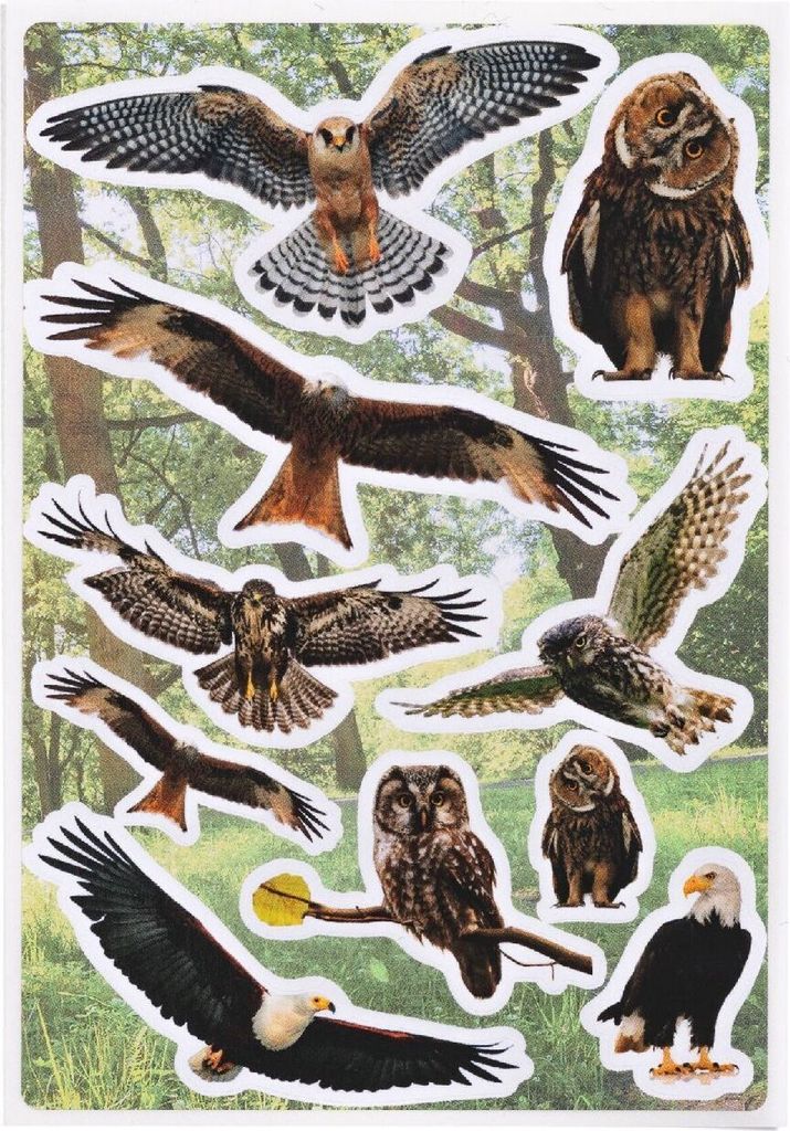 HERMA Sticker DECOR Greifvögel aus Papier matt 3 Blatt à 10 Produktbild 