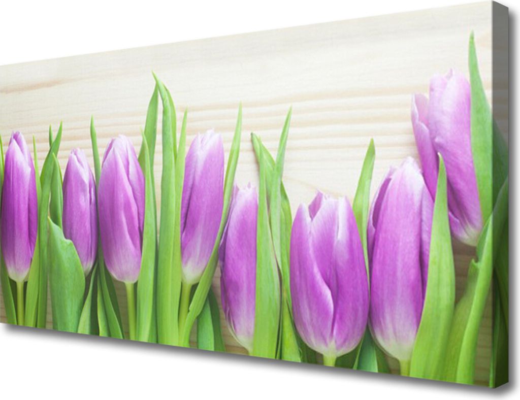 Tulup Leinwand-Bilder 100x50 Wandbild Canvas Kunstdruck Tulpen Pflanzen