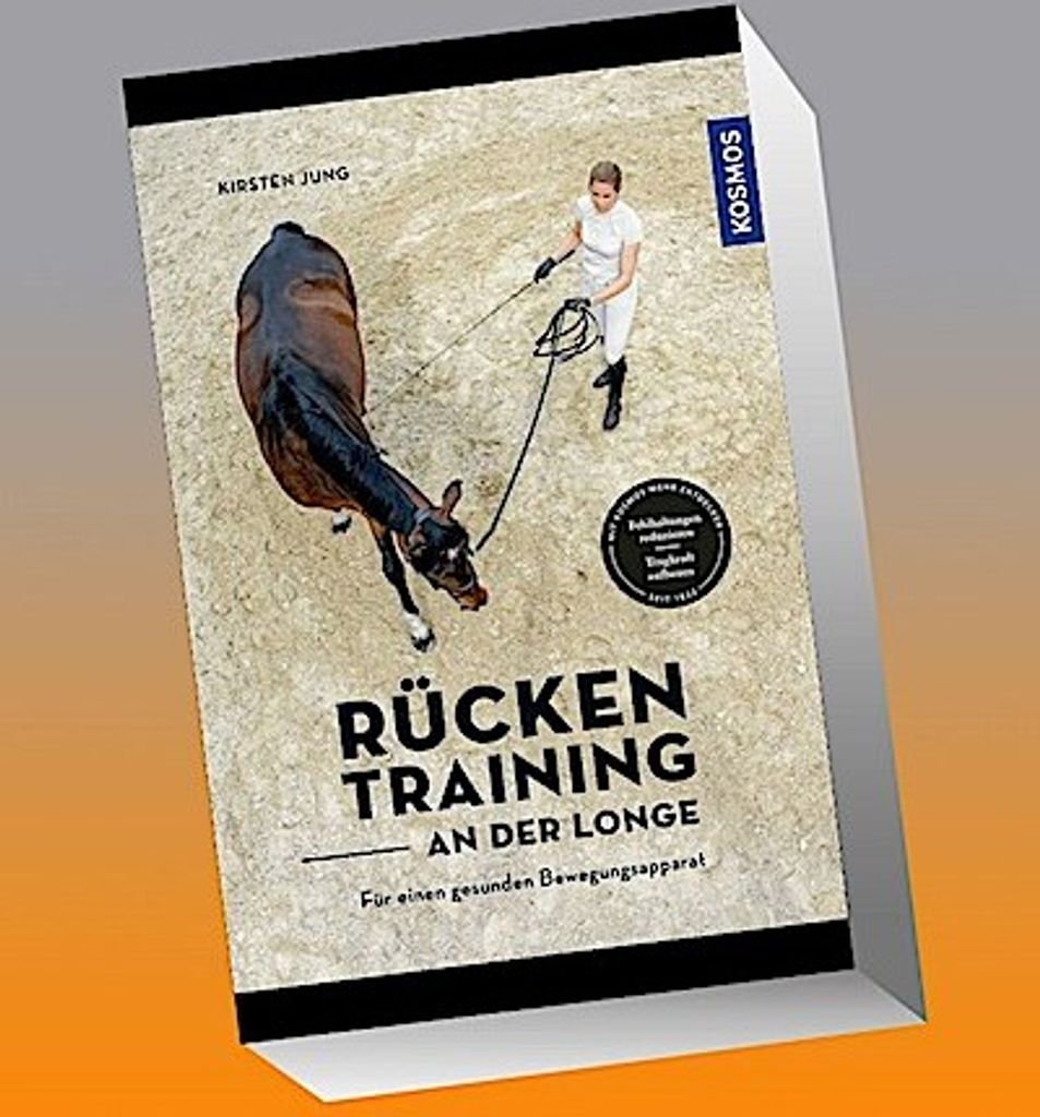 Rückentraining an der Longe