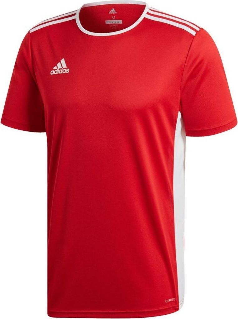 Adidas Entrada 18 Jsyy Powred/White 116