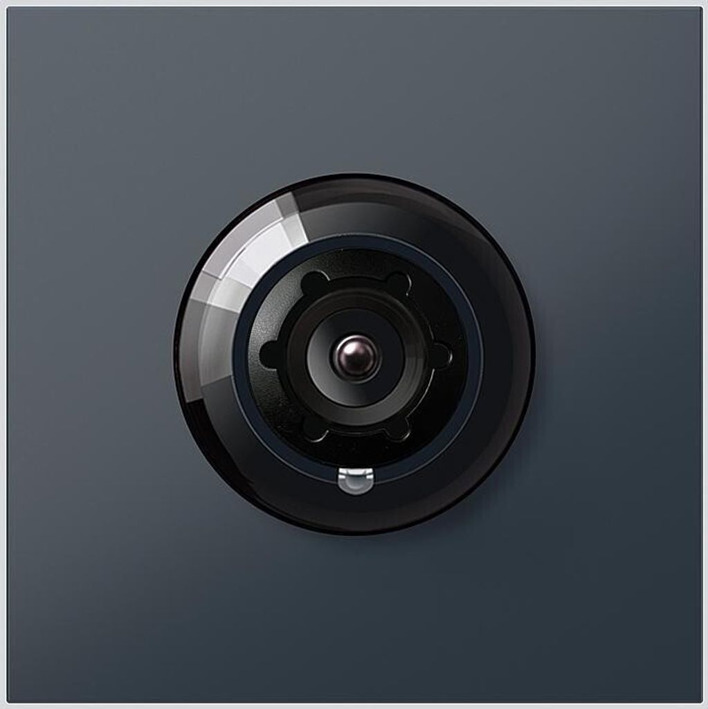 Siedle Bus-Kamera BCM 758-0 AG anthrazitgrau (210012154-00)