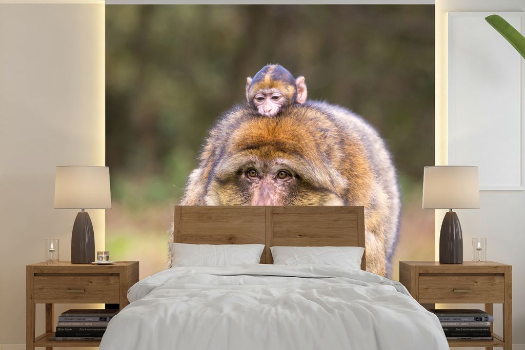 MuchoWow Fototapete für Wohnzimmer oder Schlafzimmer Wandtapete Vinyl Motivtapete Berberaffe mit Jungtier - 300x300 cm - Wanddekoration