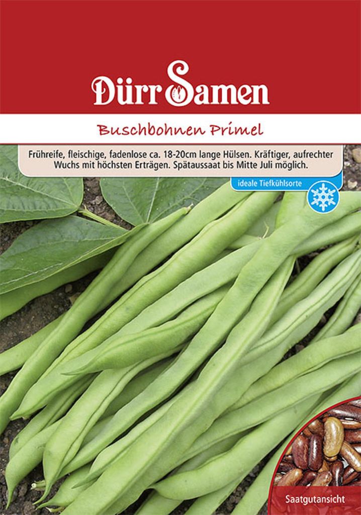 Dürr-Samen - Buschbohnen Primel 250 g - Saatgut - 4107 Produktbild 