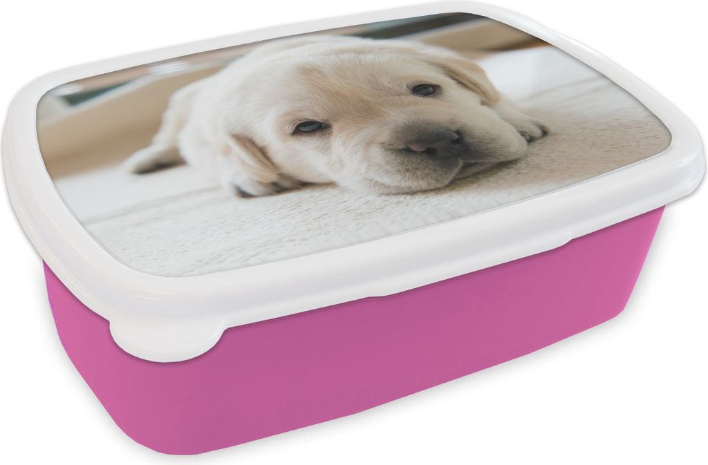 KitchenYeah Lunchbox Brotzeit Brotdose 17x11 cm Eine Nahaufnahme eines müden Labrador-Welpen Kinder Brotzeitdose - Lunchpaket - Brotkasten - San...