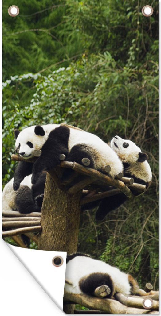 MuchoWow 80x160 cm Outdoor-Poster Gartendeko Sichtschutz Garten Poster für den Garten Pandas - Holz - Treppe