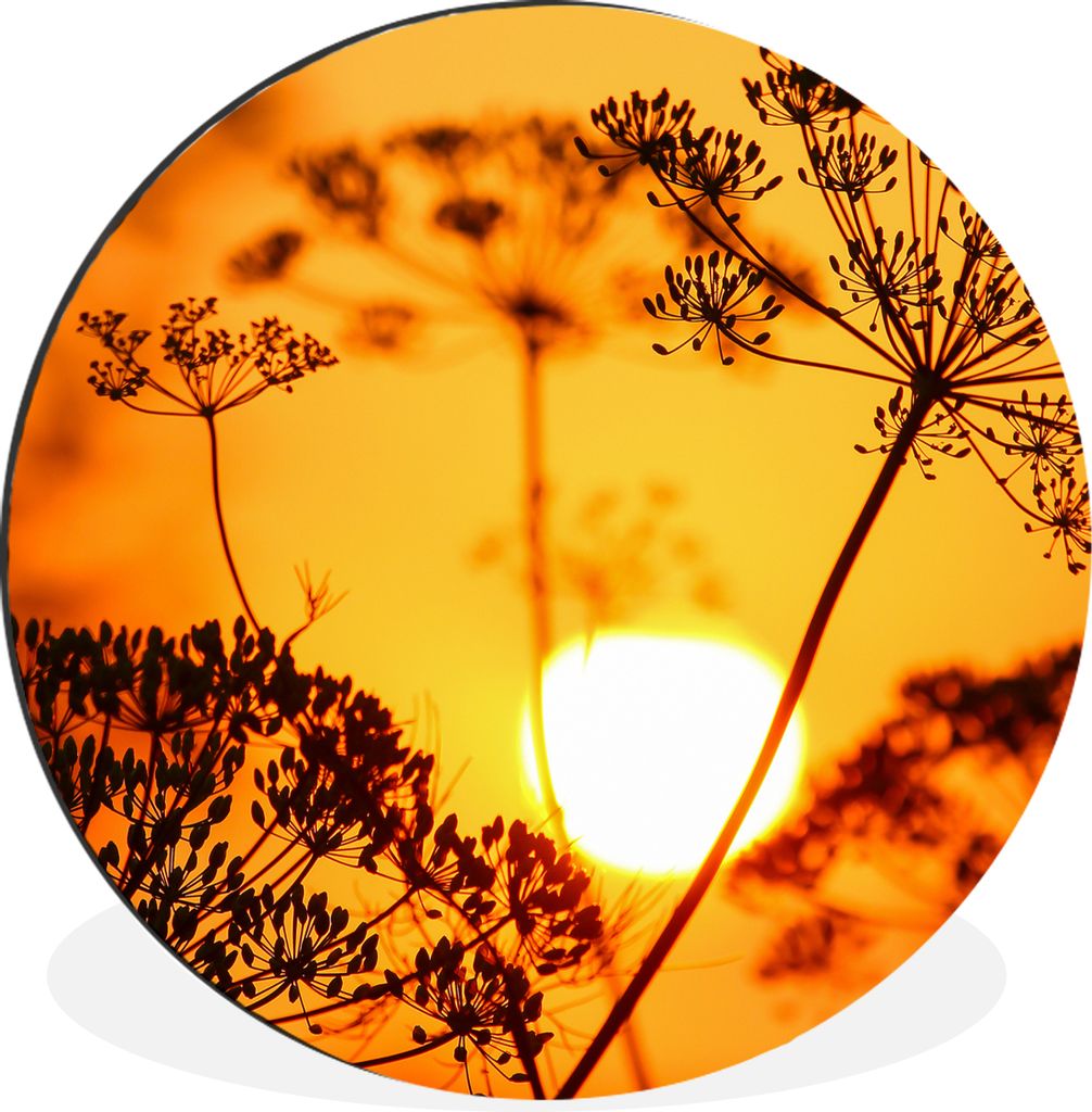 MuchoWow Aluminium Wandkreis Pflanzen - Blumen - Sonnenuntergang - Orange Ø 30 cm Wanddeko Modern Wohnzimmer - Wand Bild - Wohnzimmer - Runde Bi...
