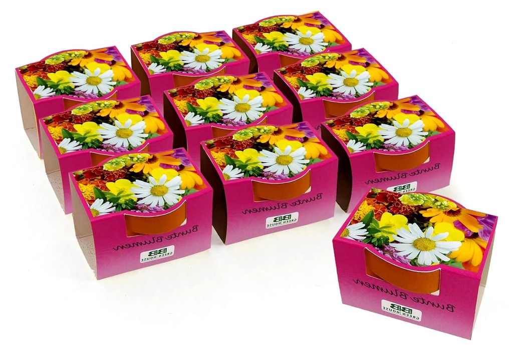 10er Set Minipflanzset Bunte Blumen, Blumensamen im Topf 40mm, Mini Blumen als Anzuchtset mit Pflegeanleitung