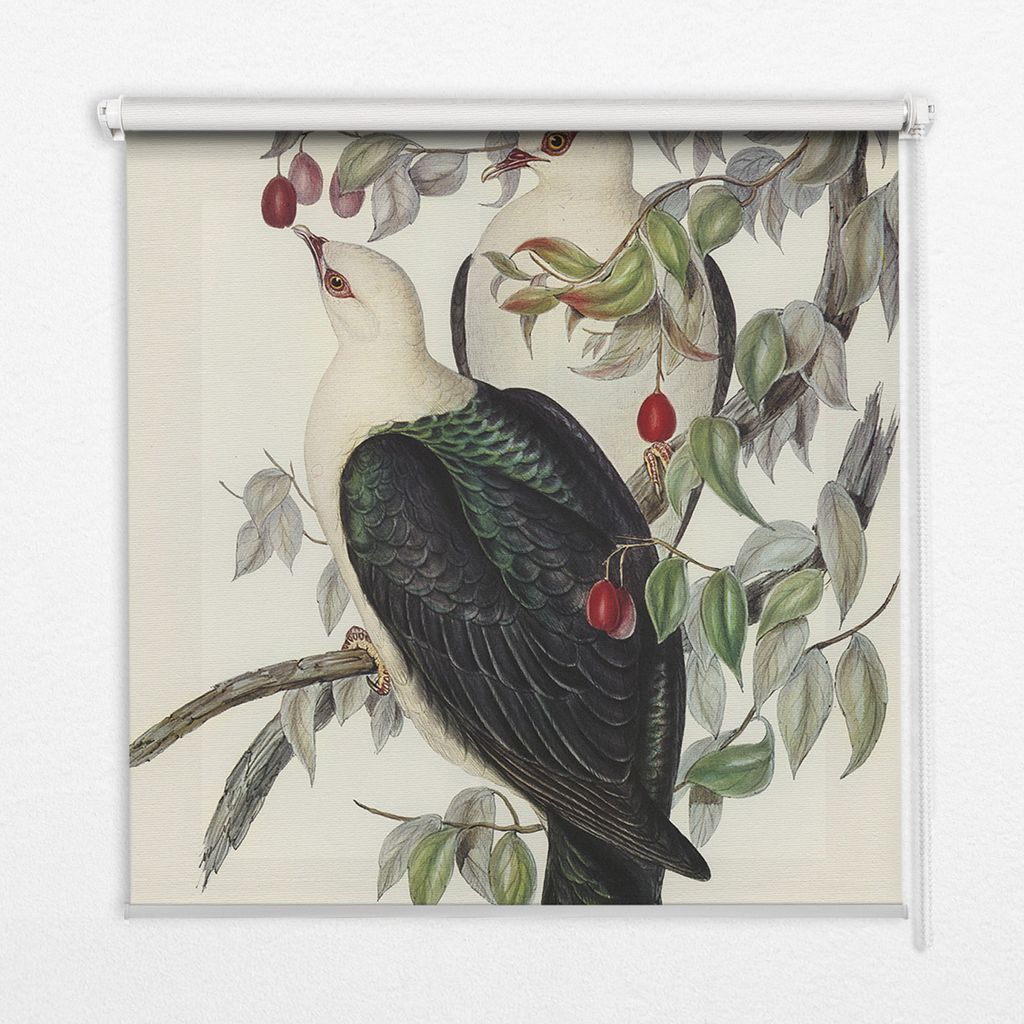 Seitenzug-Rollo Fensterrollo Jalousie - Lichtdurchlässig Springrollos - 150x180 cm - Vögel auf einem Zweig