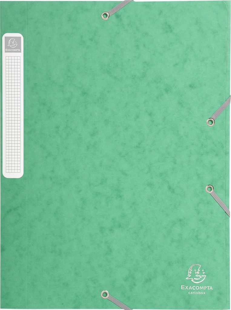 Exacompta 25x Archivbox Rücken 25mm Karton + 3 Klappen Gummizug A4 Grün 18503H
